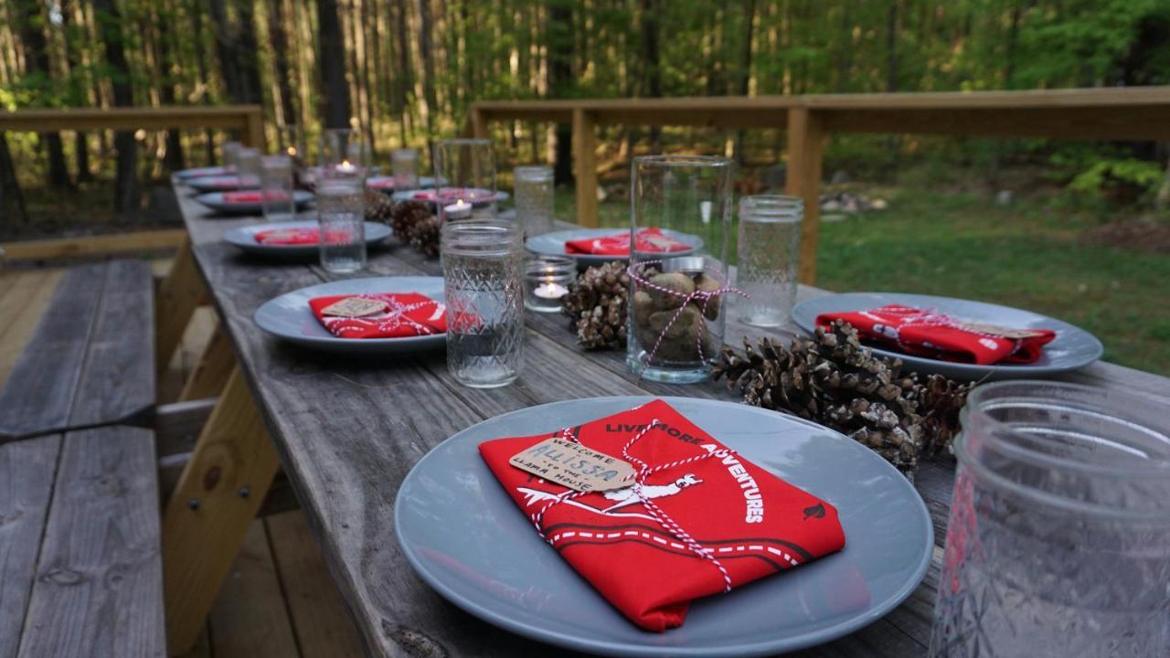 Llama House Adk Wevertown Екстериор снимка