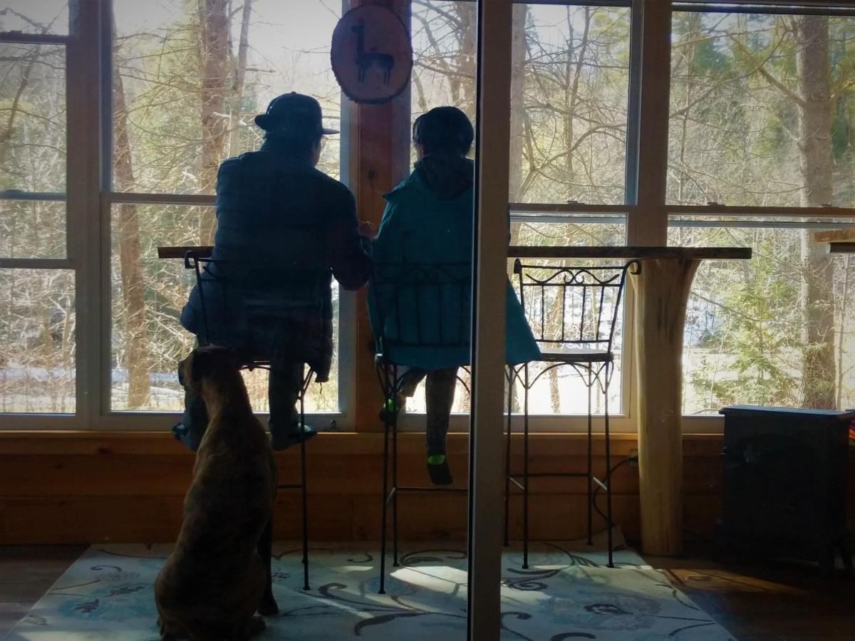 Llama House Adk Wevertown Екстериор снимка